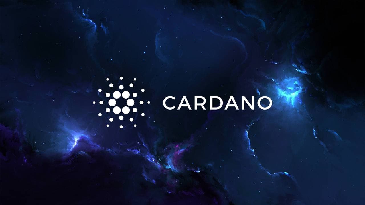 COTI интегрирует первый алгоритмический стейблкоин сети Cardano на децентрализованную биржу AdaSwap